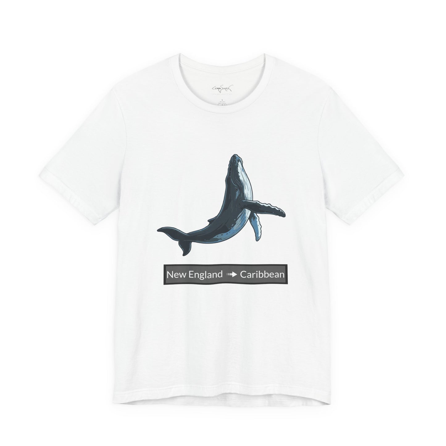 Humpback Tee - Migration "New England to Caribbean"