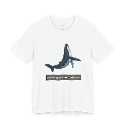 Humpback Tee - Migration "New England to Caribbean"