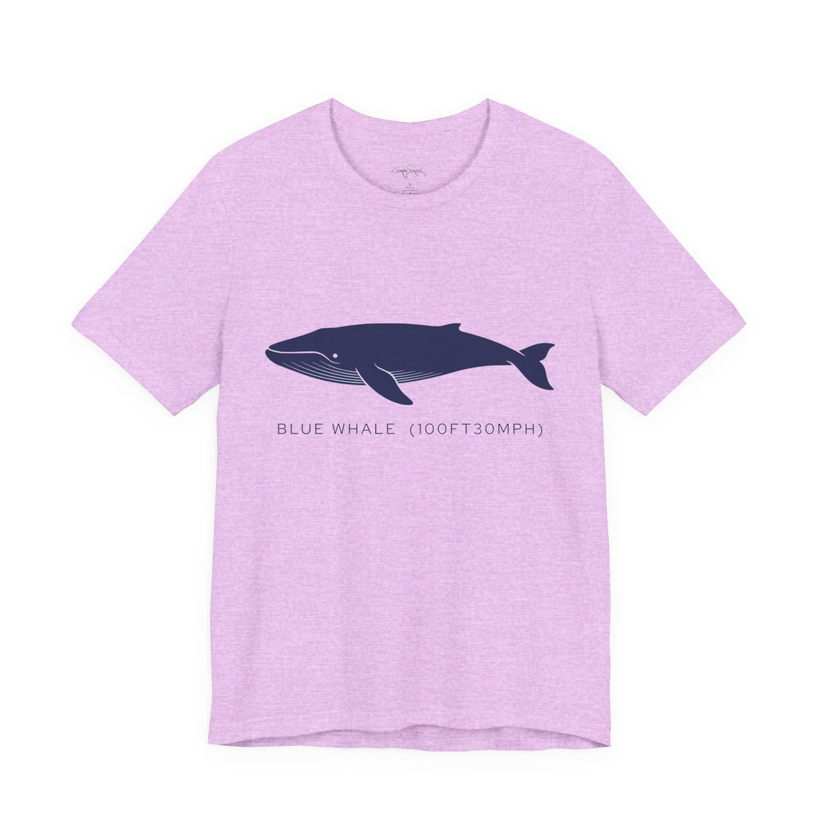 Blue Whale Tee - "Stats"