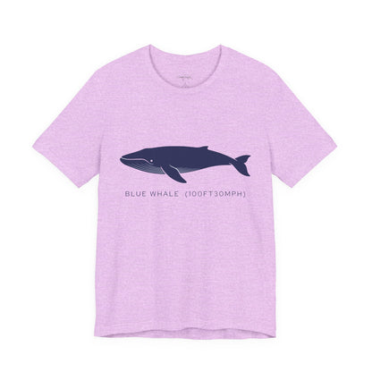 Blue Whale Tee - "Stats"