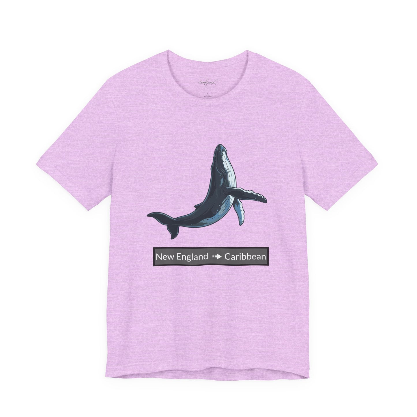 Humpback Tee - Migration "New England to Caribbean"