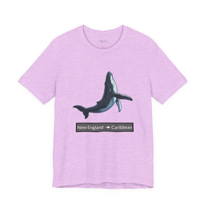 Humpback Tee - Migration "New England to Caribbean"