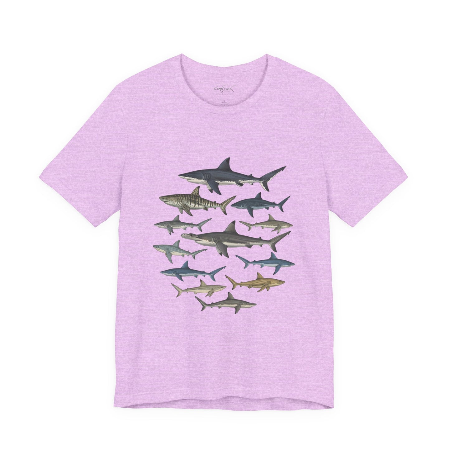 Shark Tee - Ocean's Twelve (Shark List on Back)