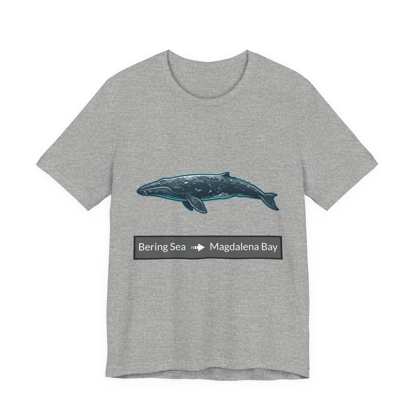 Gray Whale Tee - Migration "Bering Sea to Magdalena Bay"