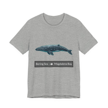 Gray Whale Tee - Migration "Bering Sea to Magdalena Bay"