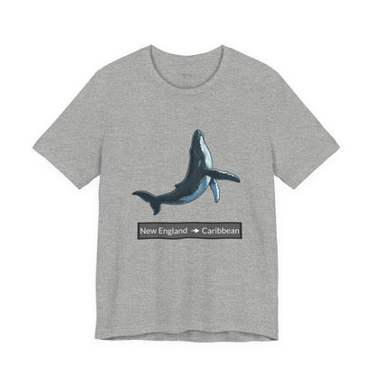 Humpback Tee - Migration "New England to Caribbean"