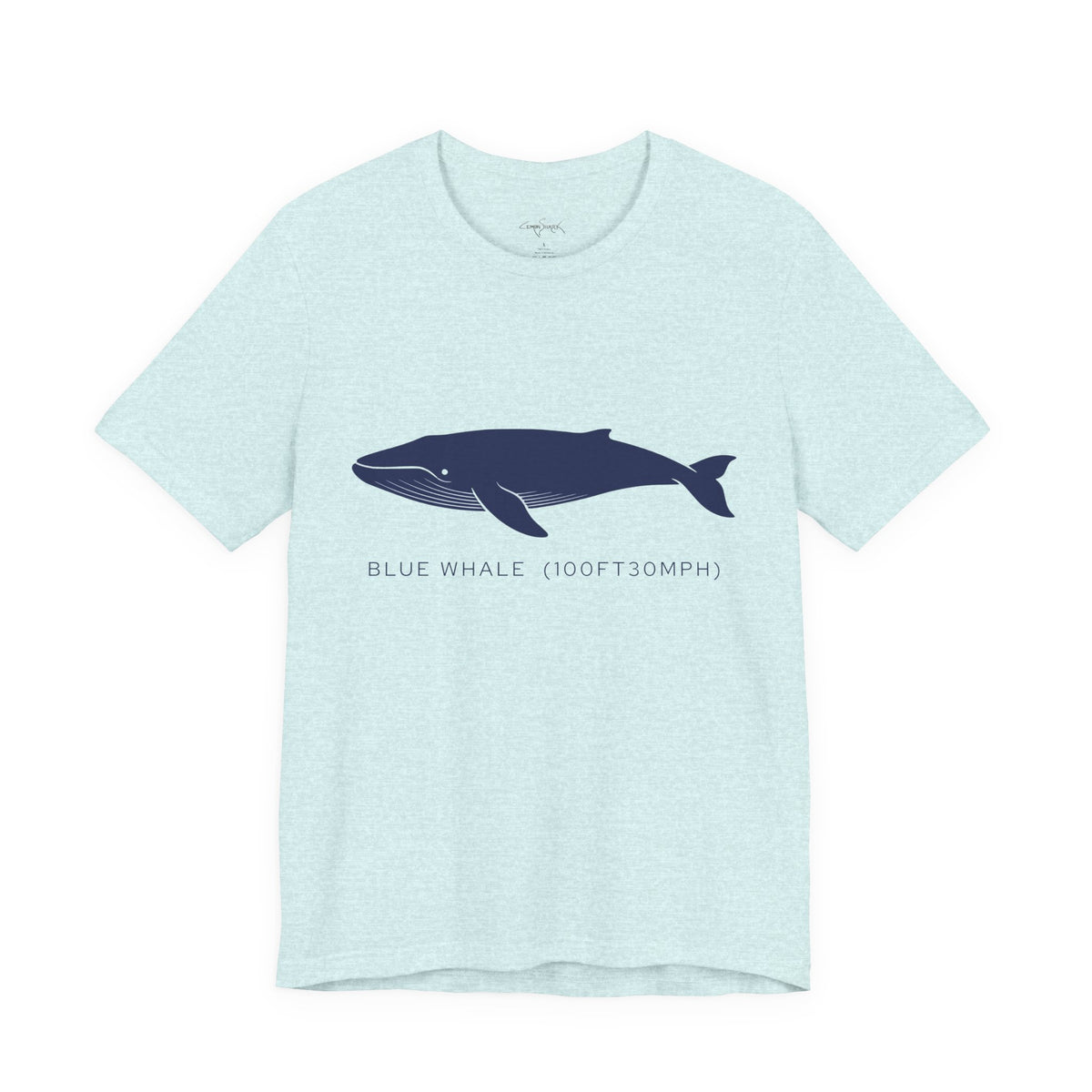 Blue Whale Tee - "Stats"