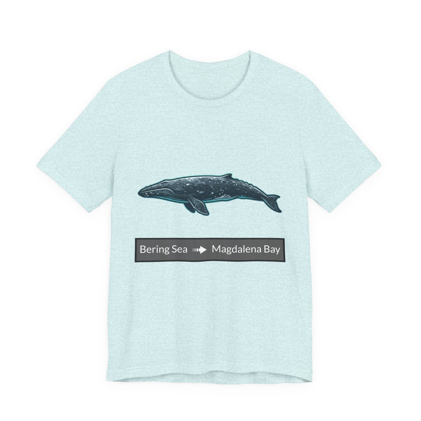 Gray Whale Tee - Migration "Bering Sea to Magdalena Bay"