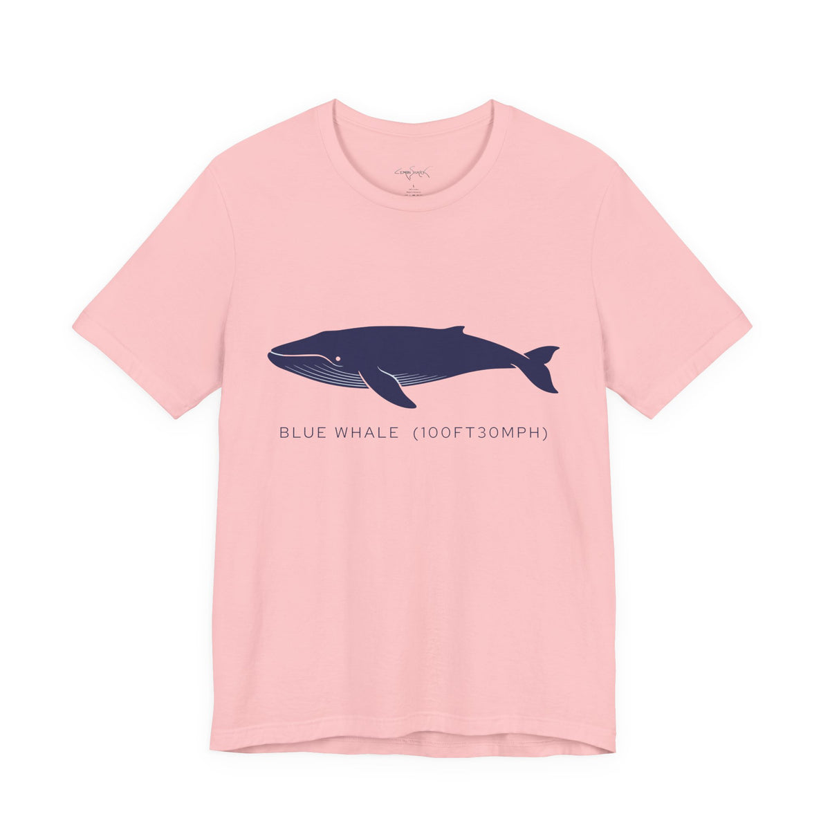 Blue Whale Tee - "Stats"