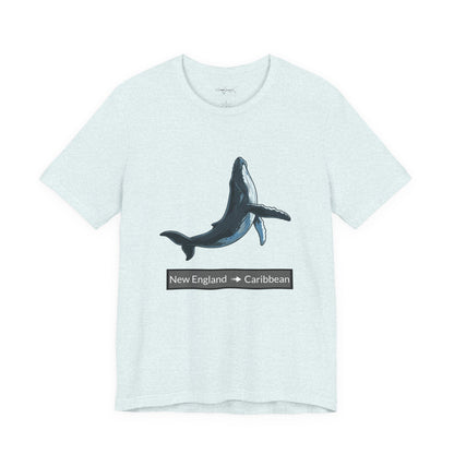 Humpback Tee - Migration "New England to Caribbean"