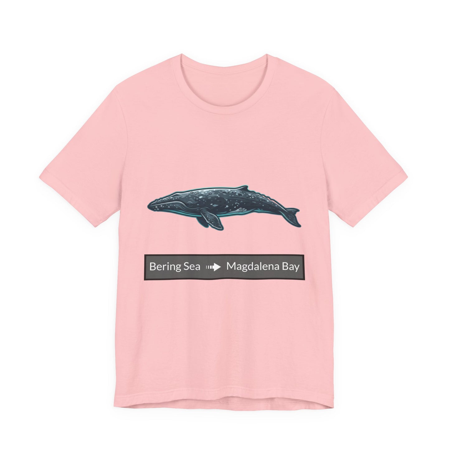 Gray Whale Tee - Migration "Bering Sea to Magdalena Bay"