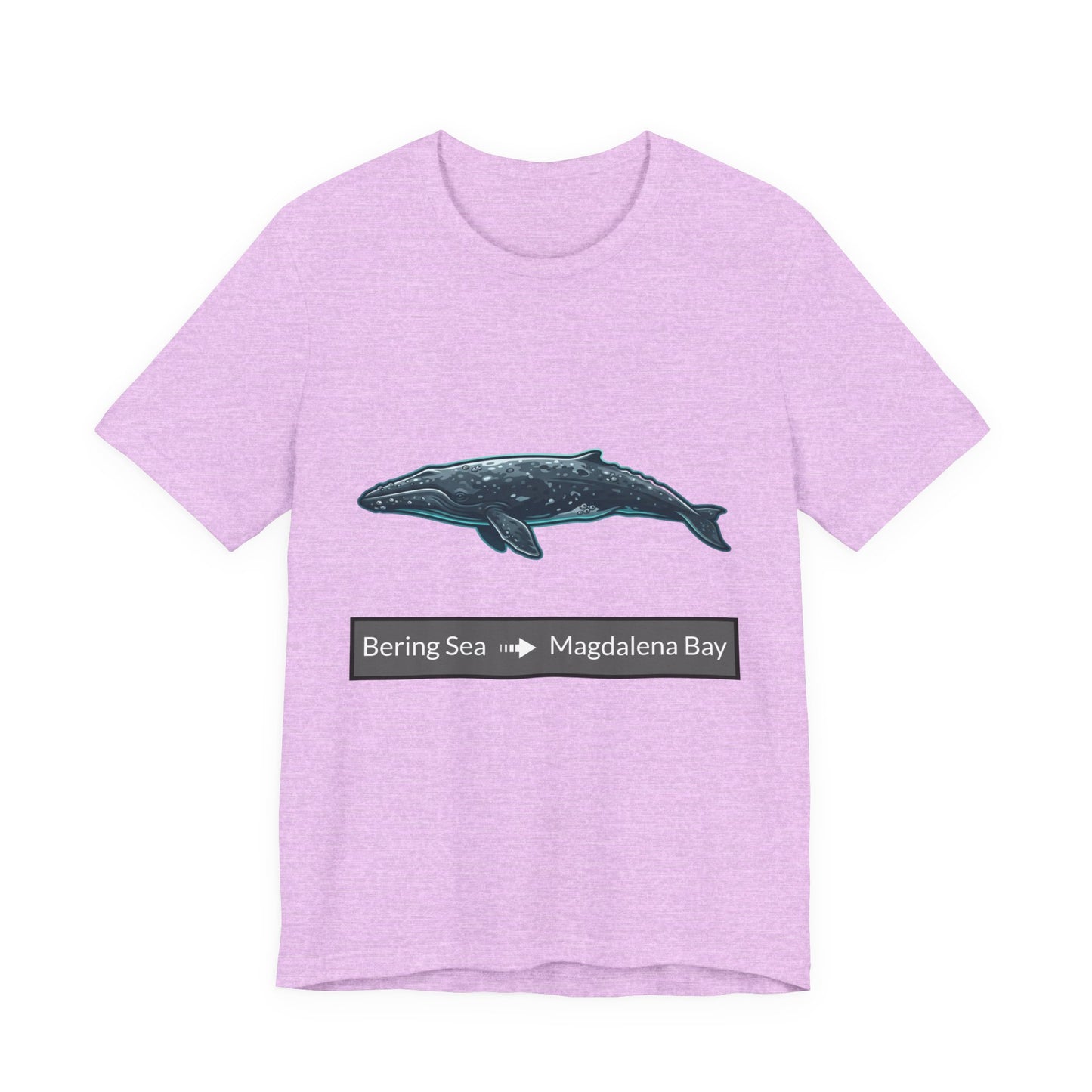 Gray Whale Tee - Migration "Bering Sea to Magdalena Bay"