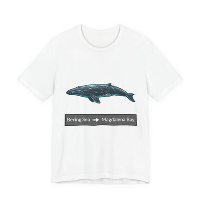 Gray Whale Tee - Migration "Bering Sea to Magdalena Bay"