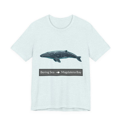 Gray Whale Tee - Migration "Bering Sea to Magdalena Bay"