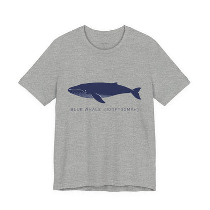 Blue Whale Tee - "Stats"