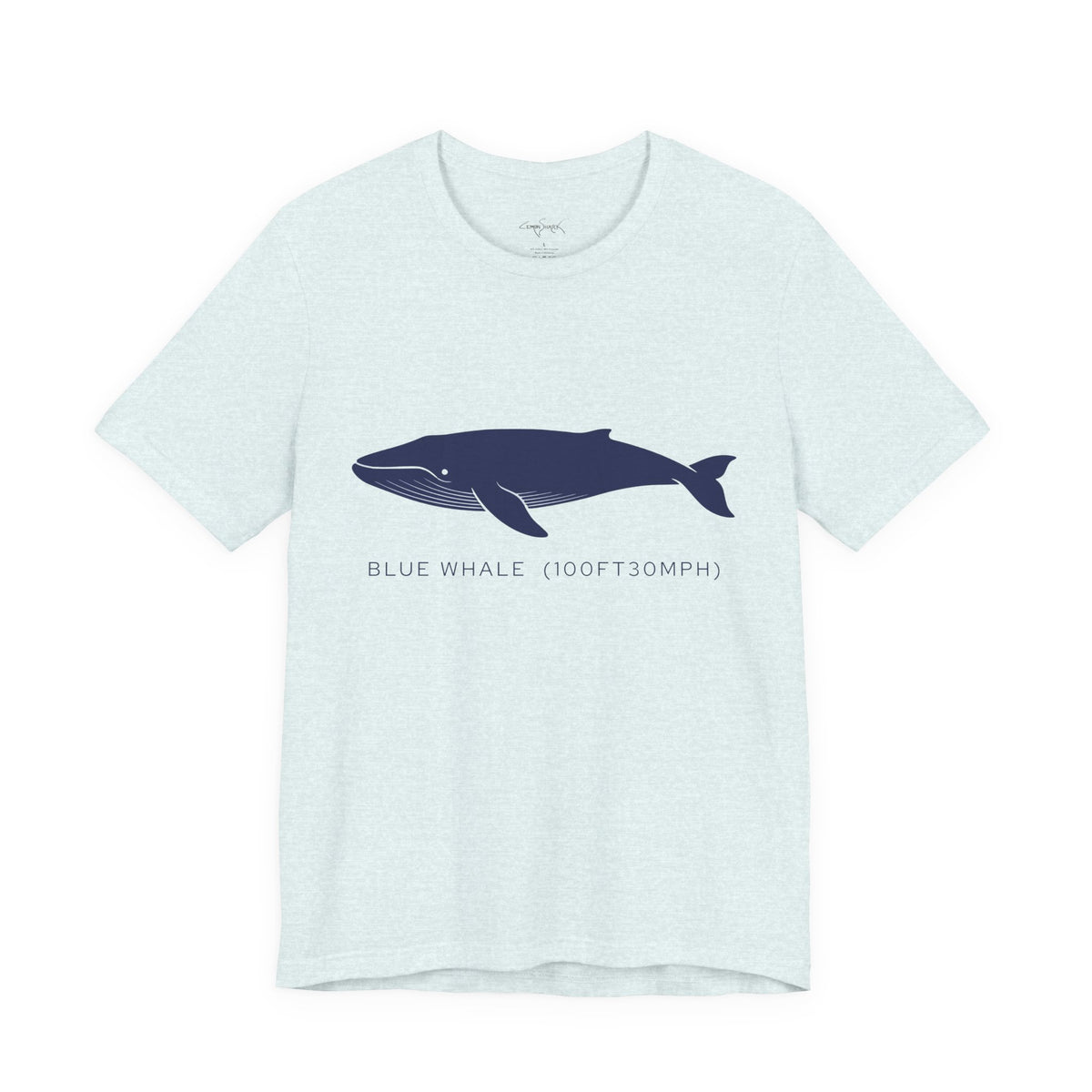 Blue Whale Tee - "Stats"