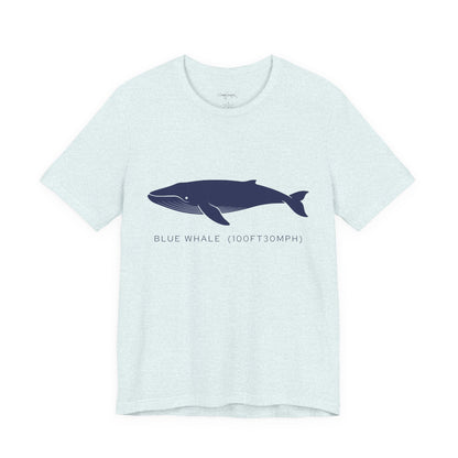 Blue Whale Tee - "Stats"