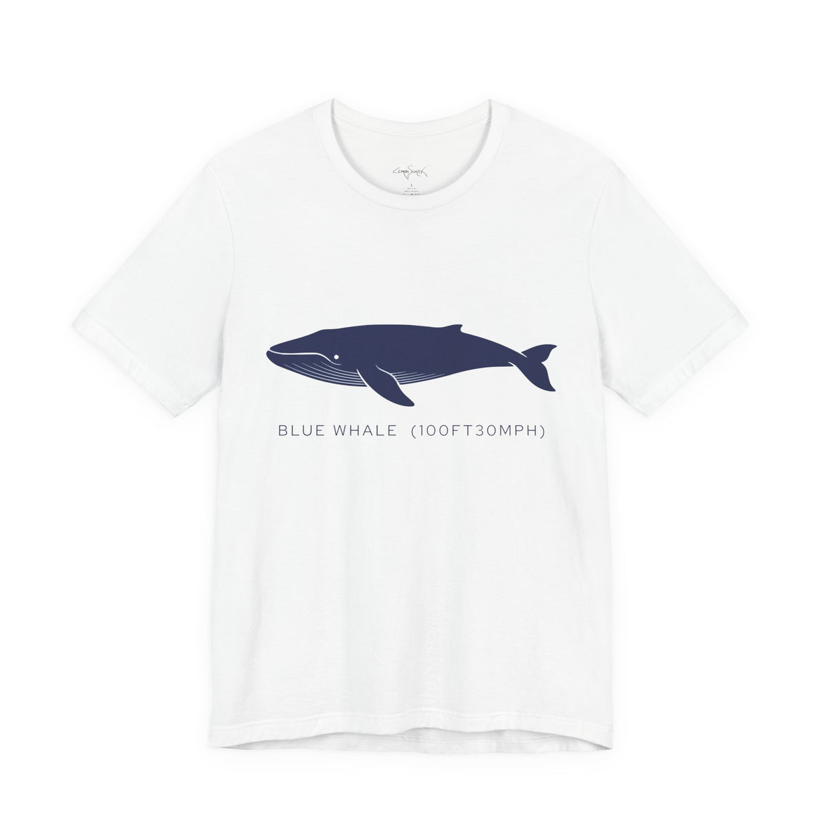 Blue Whale Tee - "Stats"