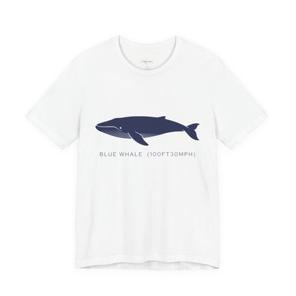 Blue Whale Tee - "Stats"