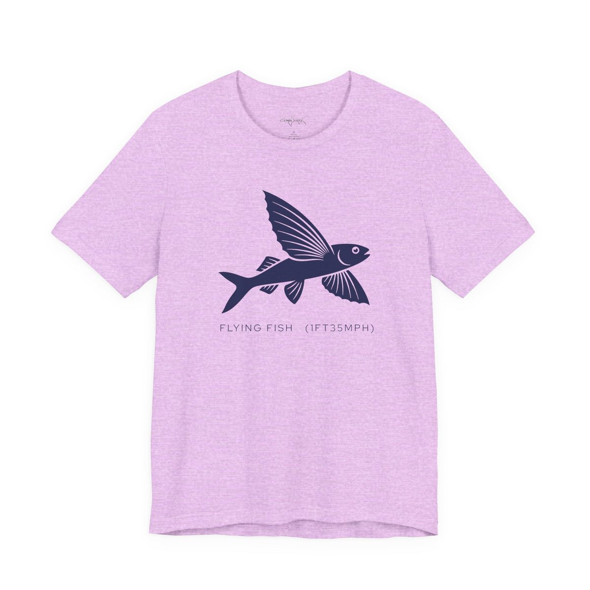 Flying Fish Tee - "Stats"