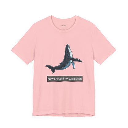 Humpback Tee - Migration "New England to Caribbean"
